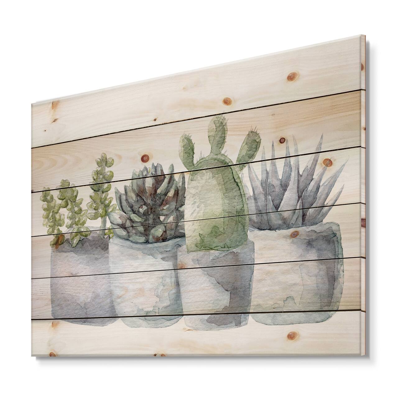 Designart - Cactus and Succulent House Plants I - Botanical Print on Natural Pine Wood